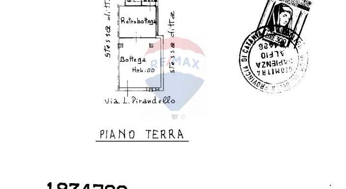 20250527100855-950703-8