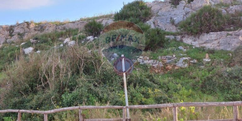 20250605194302-955868-3