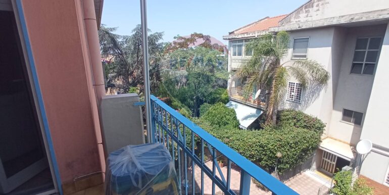 20250613225042-958267-9