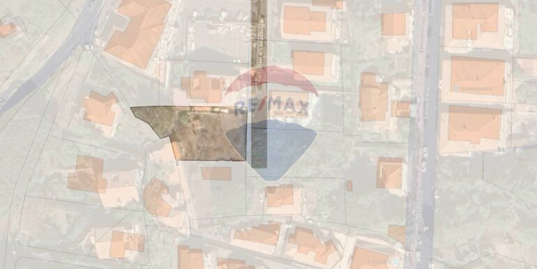 2025061982020-959793-2