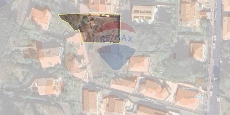 2025061982036-959793-6