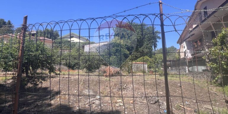 2025061982314-959793-7