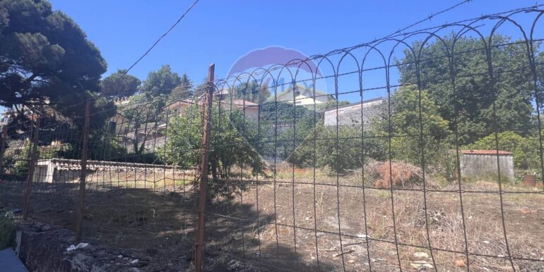 2025061982316-959793-8