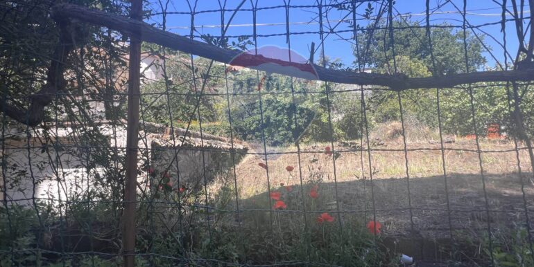 2025061982318-959793-9