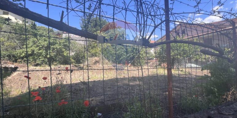 2025061982320-959793-10