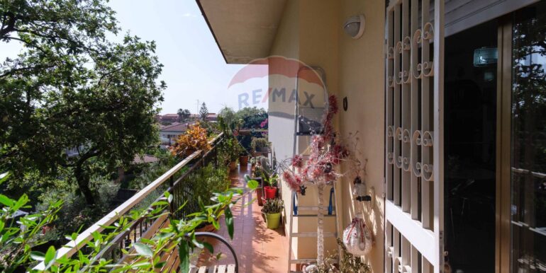 2025061991705-958079-7