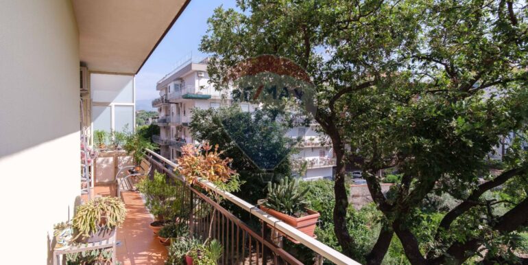 2025061991708-958079-8