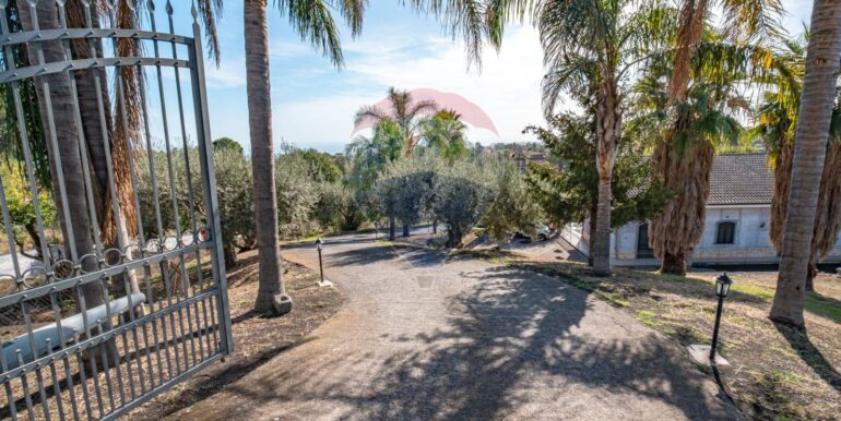 2025062071639-956248-1