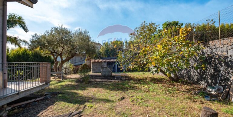 2025062071647-956248-4