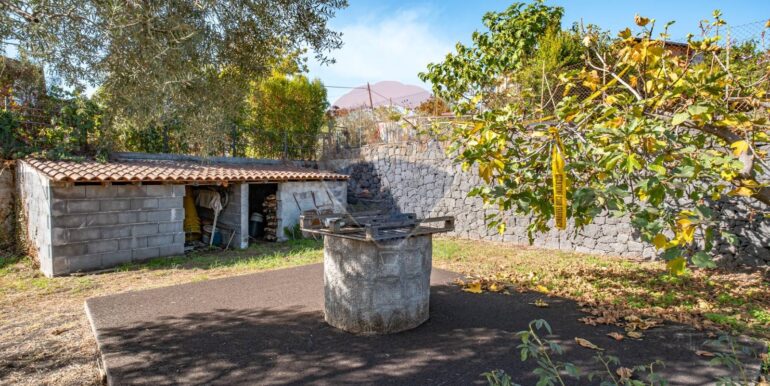 2025062071650-956248-5