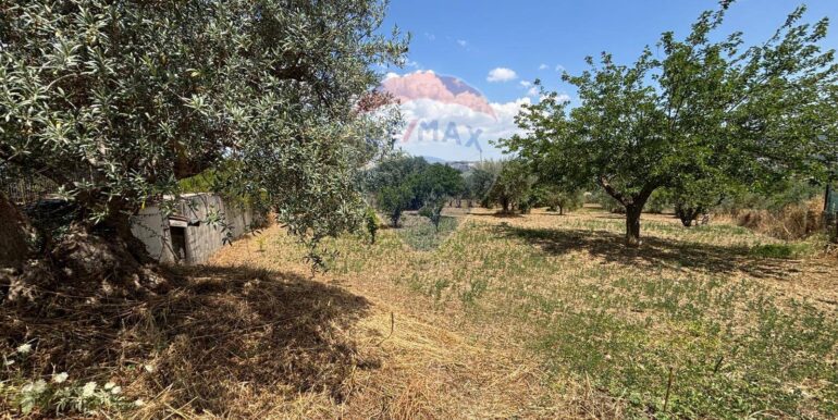 20250621231958-960378-1