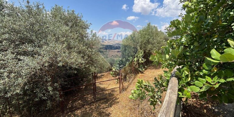 20250621232020-960378-9