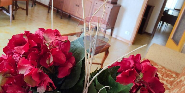 20250622113522-960382-6