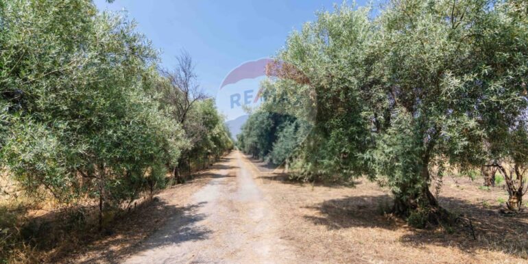 20250623113323-956473-3