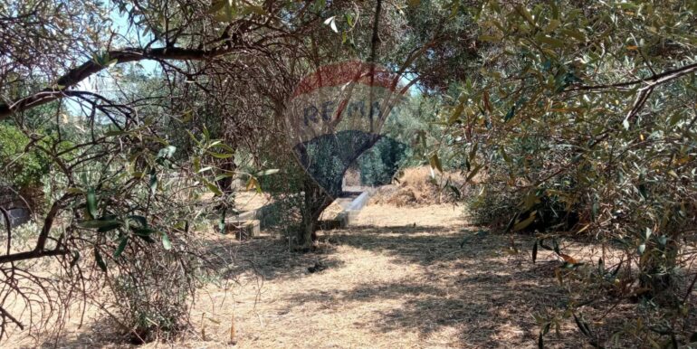 20250624163016-961380-2