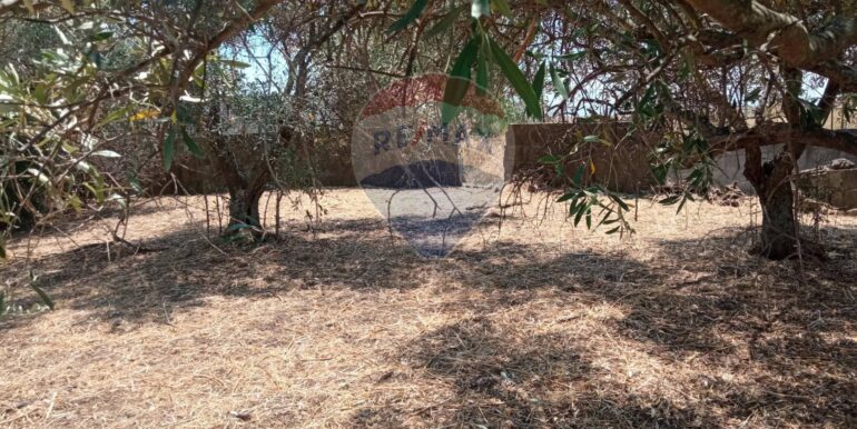 20250624163021-961380-4