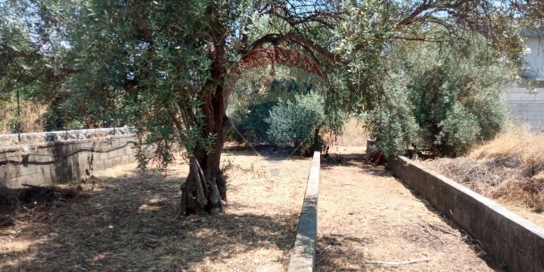 20250624163028-961380-7