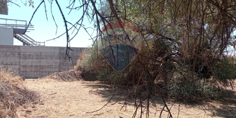 20250624163035-961380-10