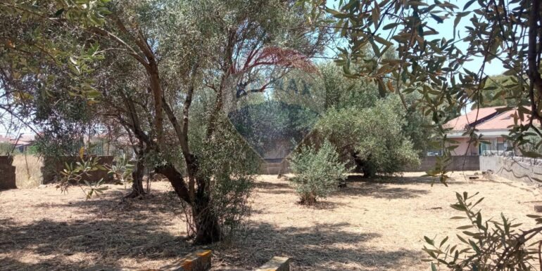 20250624163038-961380-11