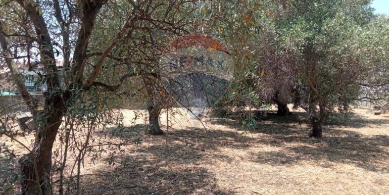 20250624163045-961380-14