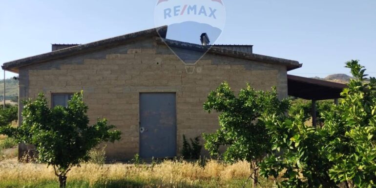 20250627114334-963028-5