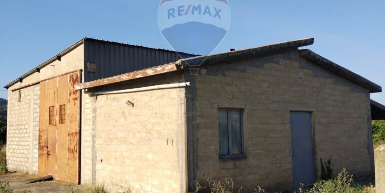 20250627114336-963028-6