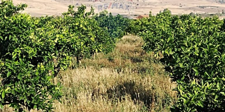 20250627114347-963028-13