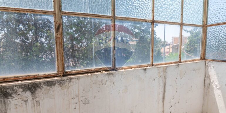 20250630115656-956483-4