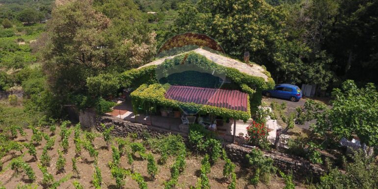 20250701163810012134366