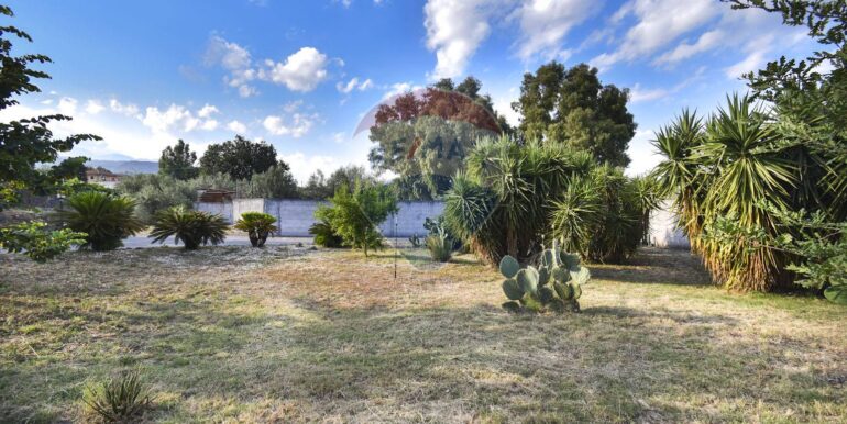 20250707120329-964061-1