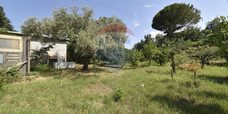 20250707165049-962254-10