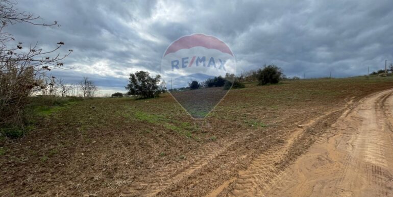 20250713111937-966541-2