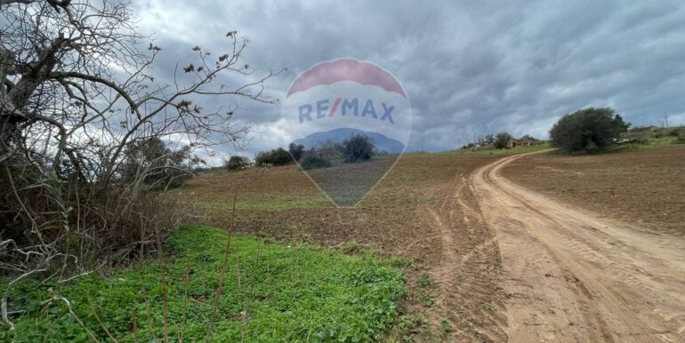 20250713111942-966541-3