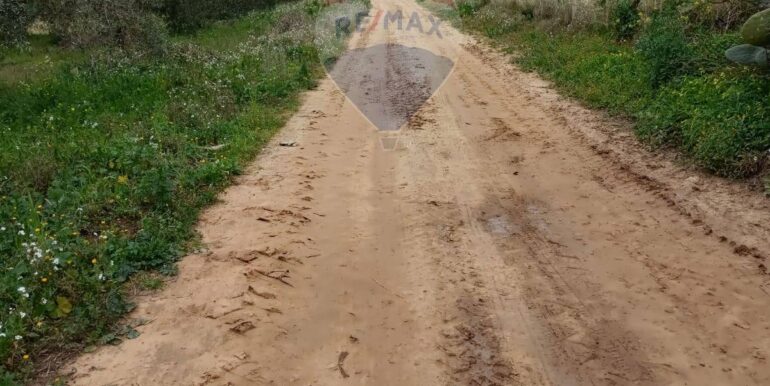 20250713111950-966541-5