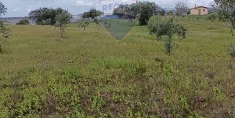 20250713111954-966541-6