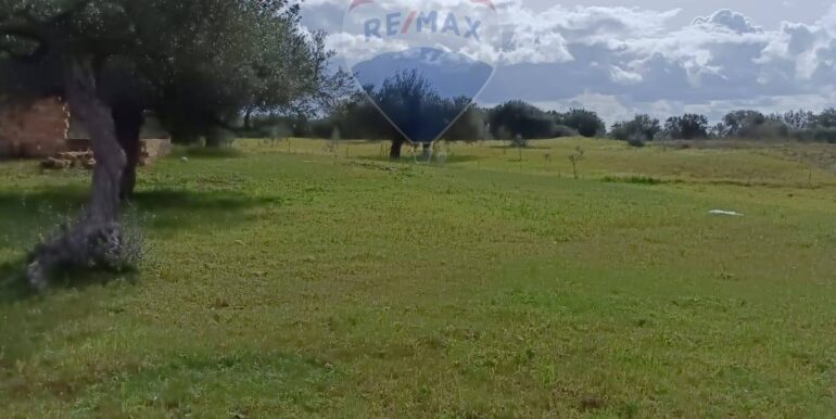 20250713111958-966541-7