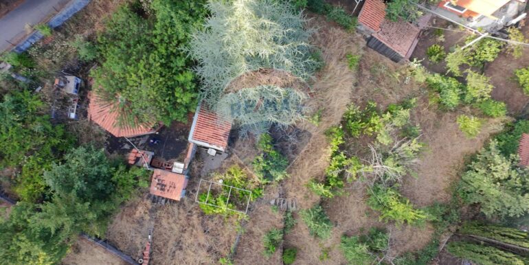 20250714112610-966593-12