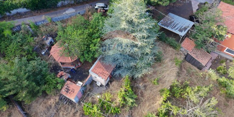 20250714112616-966593-13