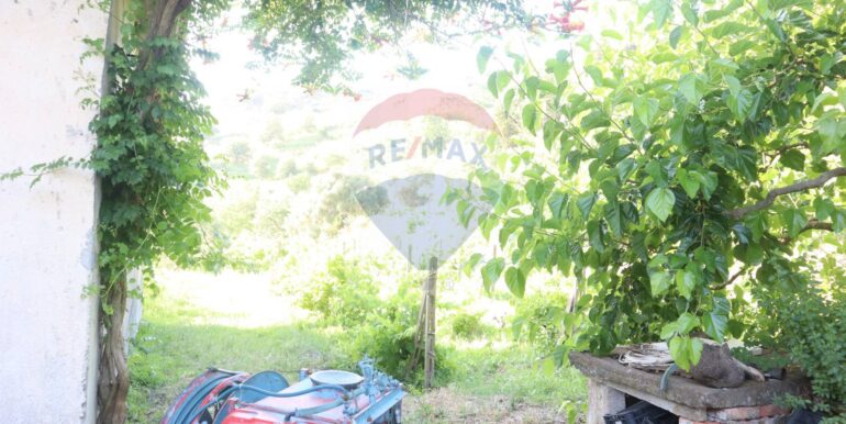 20250718194850-969370-2