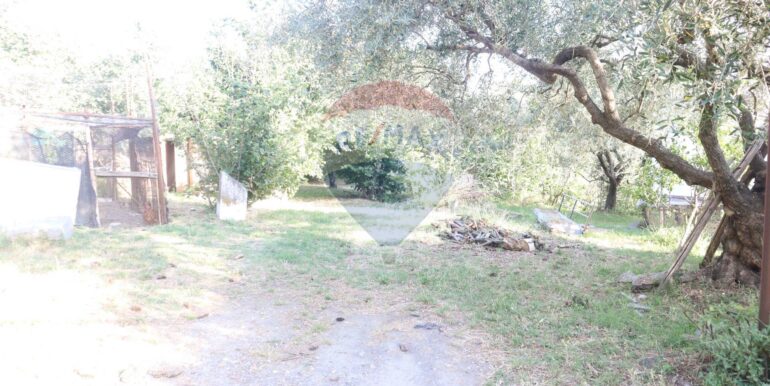 20250718194854-969370-3