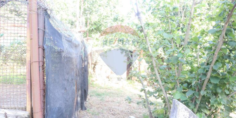 20250718194904-969370-6