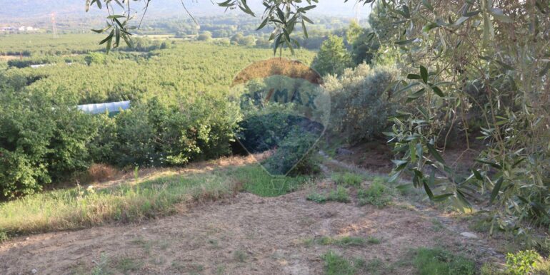 20250718194937-969370-15