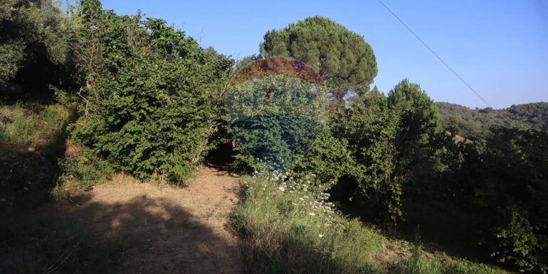 20250718194943-969370-17