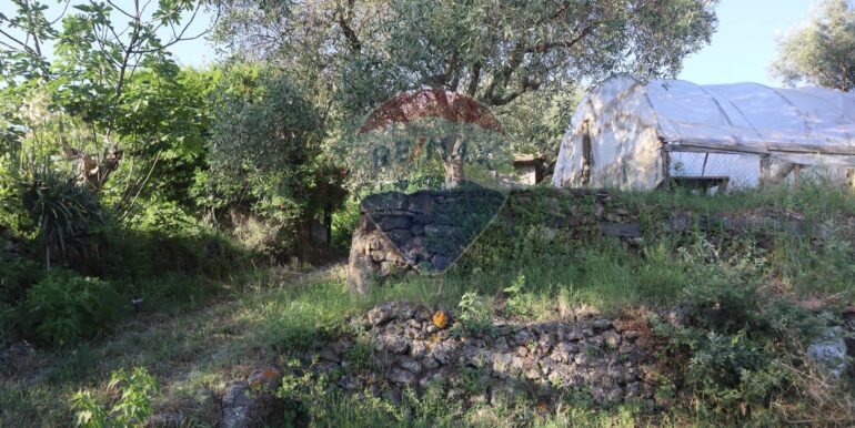 20250718194946-969370-18