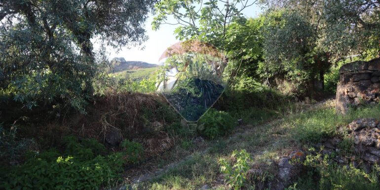 20250718194951-969370-19