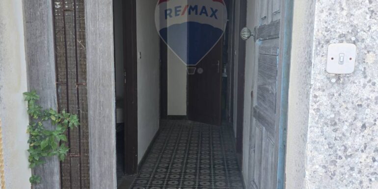 20250725115116-971508-5