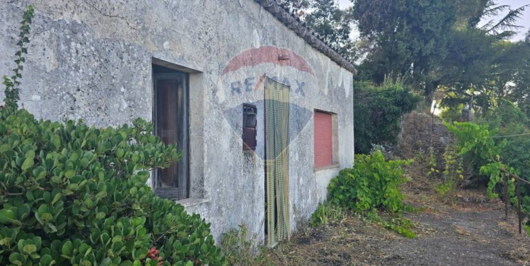 20250725115119-971508-6