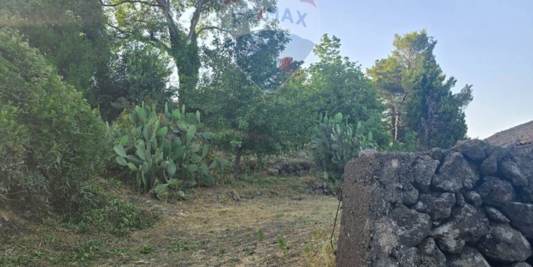 20250725115131-971508-9