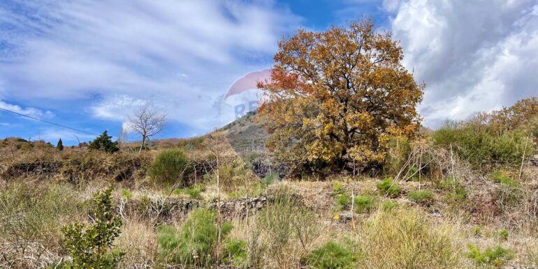 20250728154013-972149-4