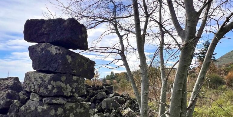 20250728154015-972149-8